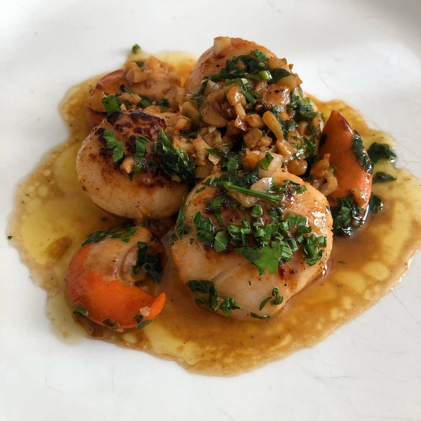 Scallops | YT Photography | Yvanne Teo