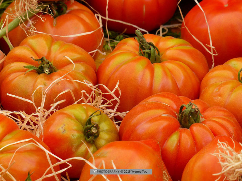 Market Tomatoes | YT Photography | Yvanne Teo