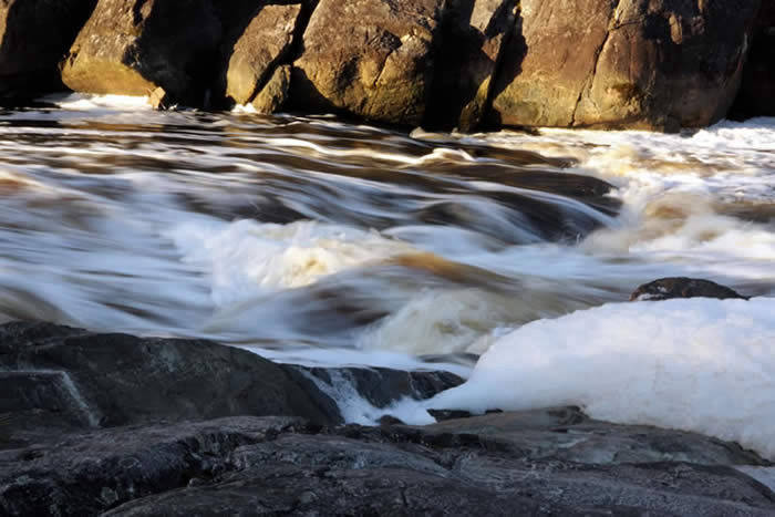 River, Western Australia | Yvanne Teo