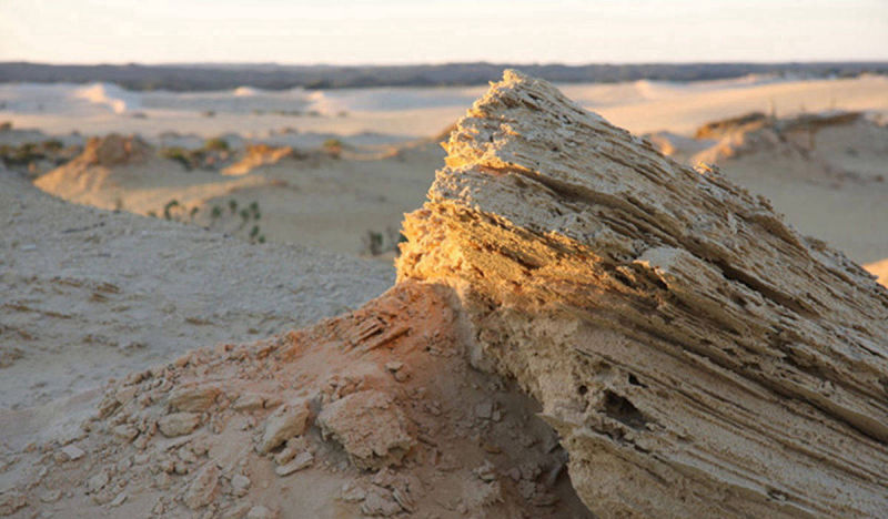 Nature, Western Australia | Yvanne Teo
