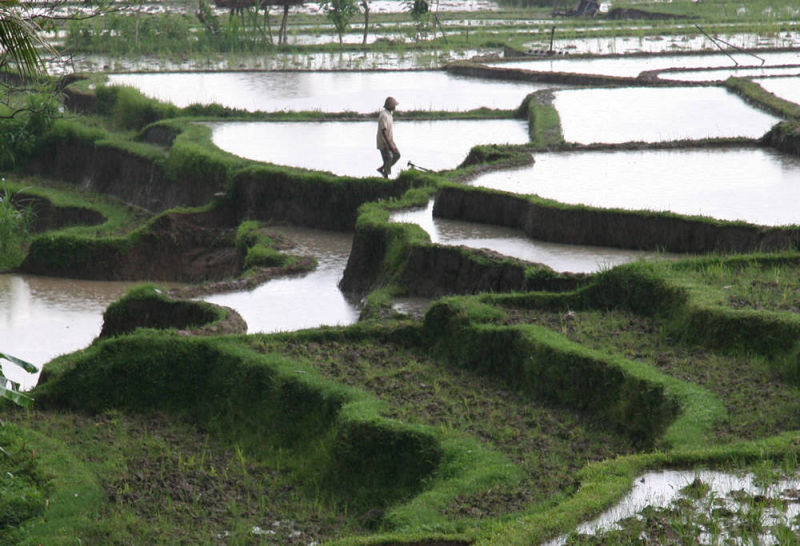 Ubud, Bali | Yvanne Teo