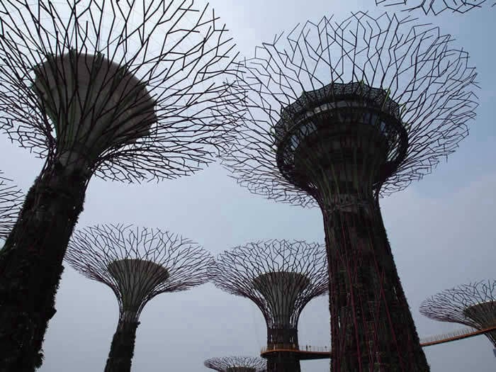 Gardens by the Bay, Singapore | Yvanne Teo