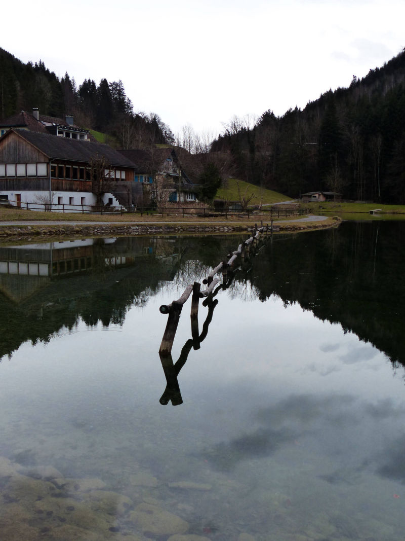 Mountain Lake, Austria | Yvanne Teo