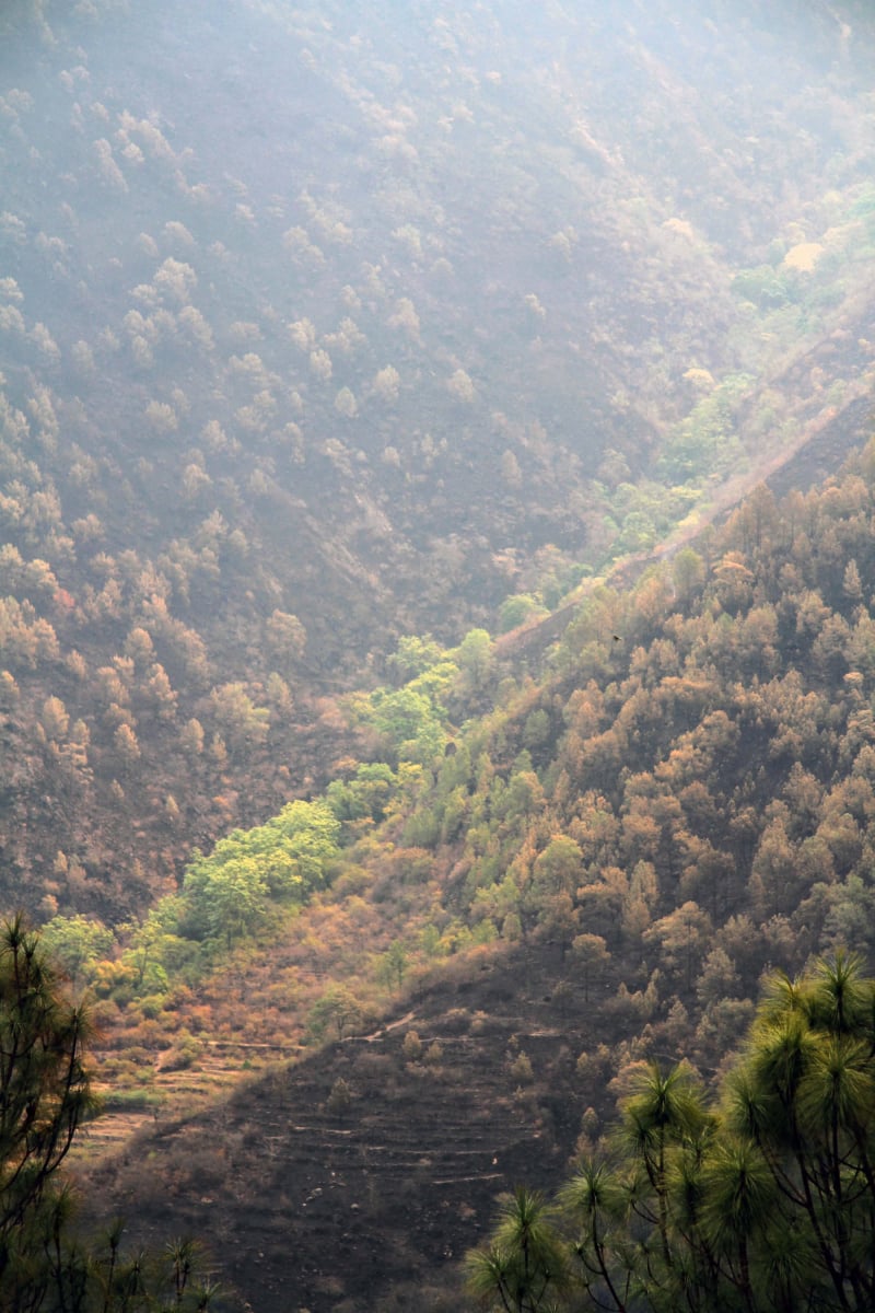 Bhutanese Scenes | YT Photography & Design | Yvanne Teo