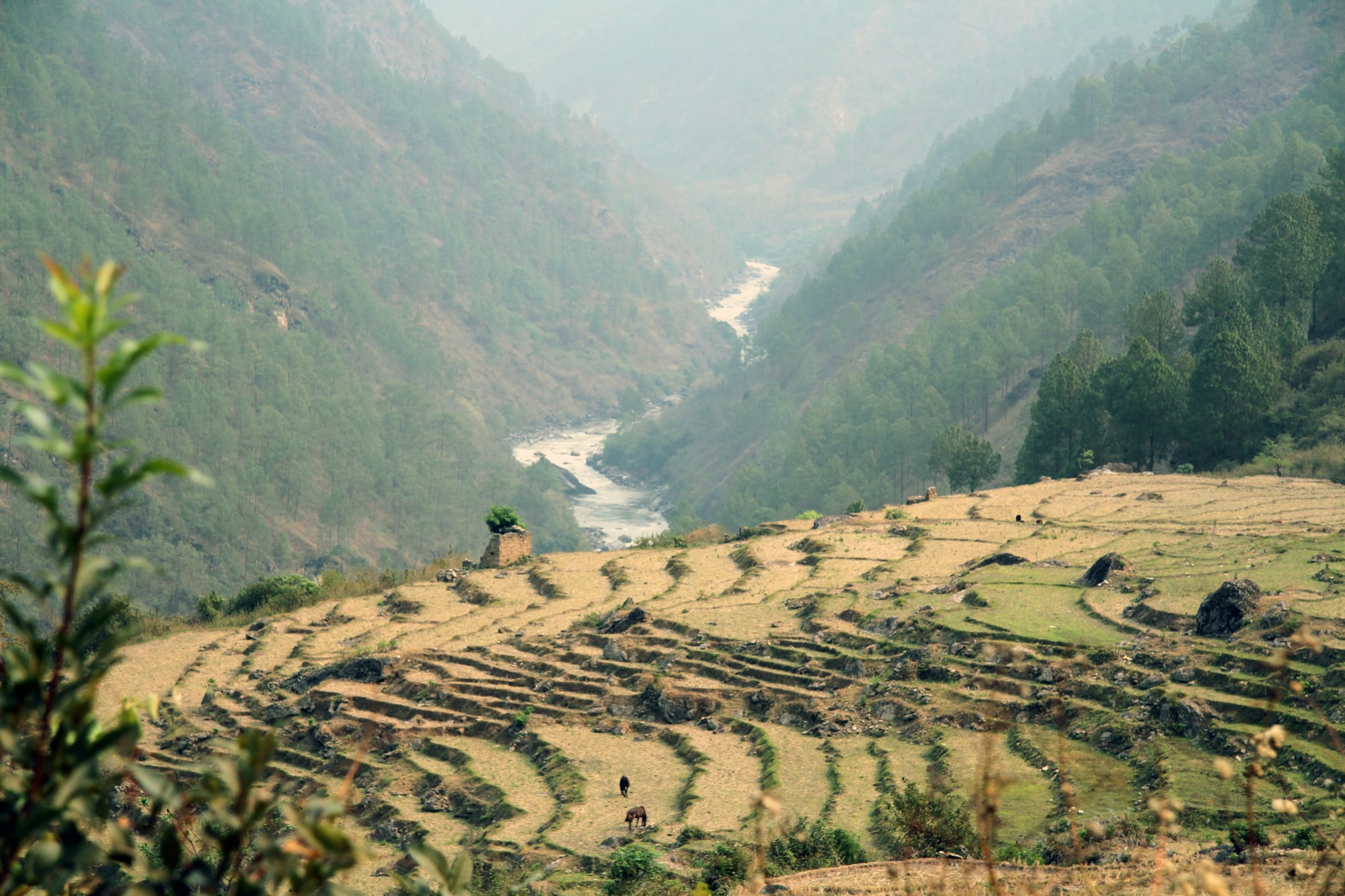 Bhutanese Scenes | YT Photography & Design | Yvanne Teo