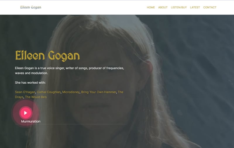 Eileen Gogan Musician | YT Photography & Design | Yvanne Teo