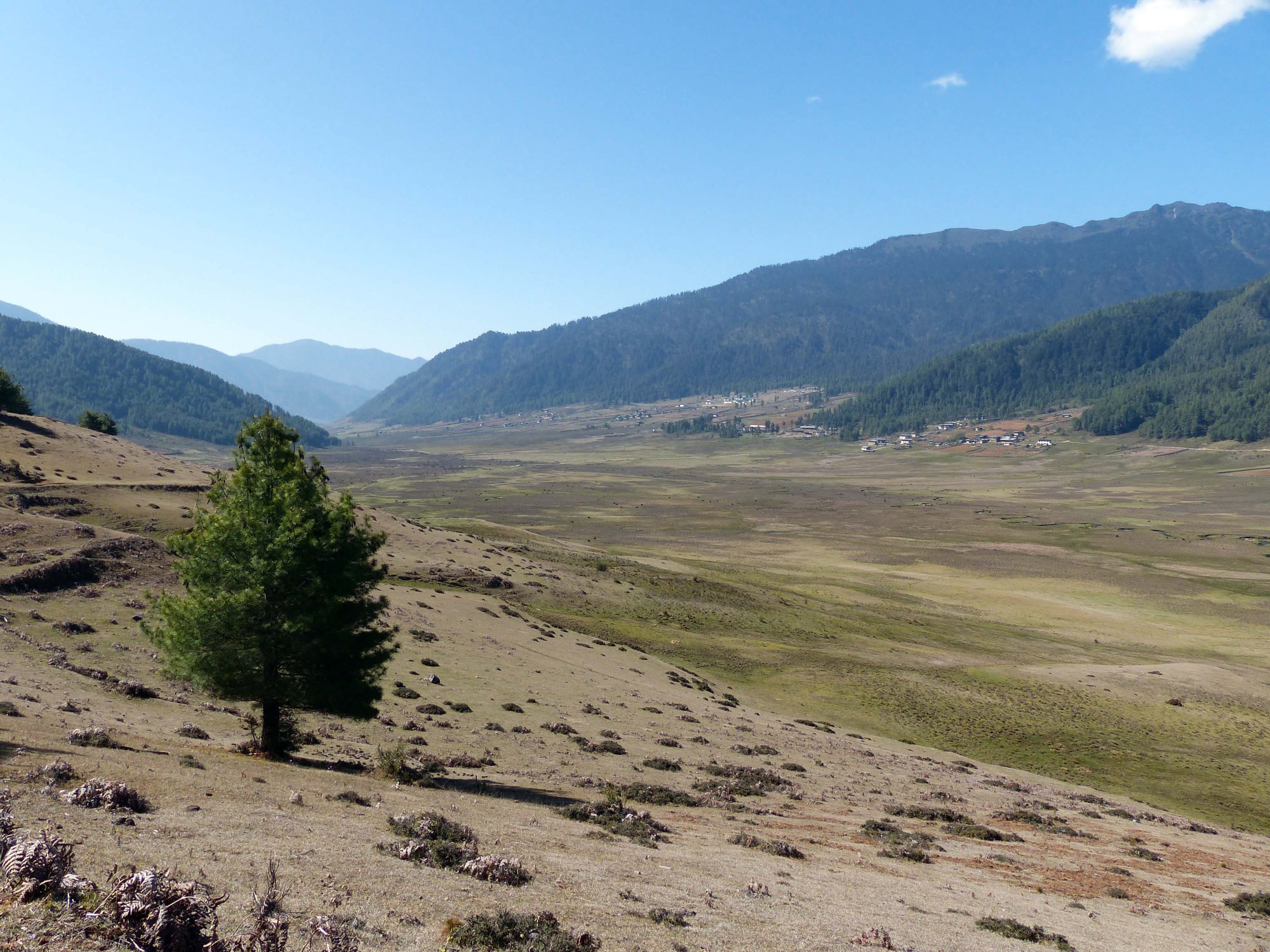 Bhutanese Scenes | YT Photography & Design | Yvanne Teo