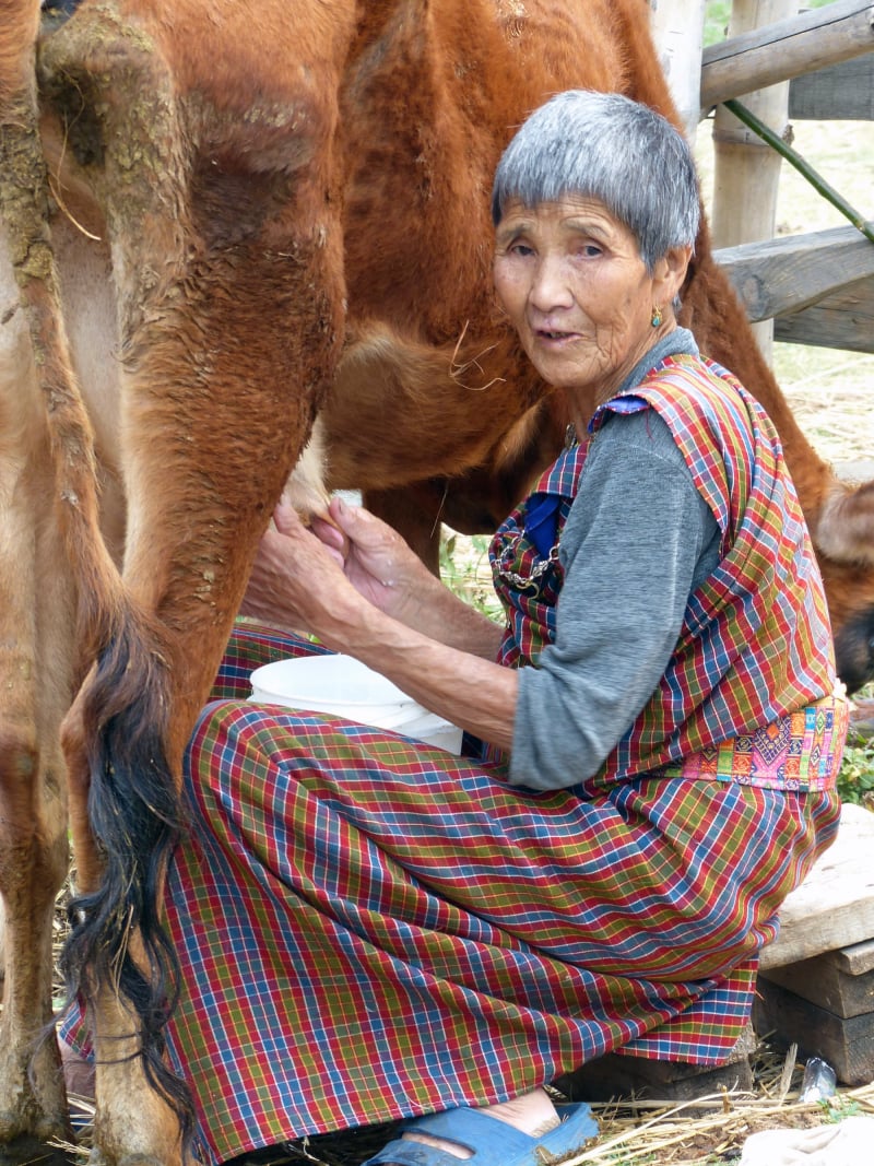Bhutanese Scenes | YT Photography & Design | Yvanne Teo