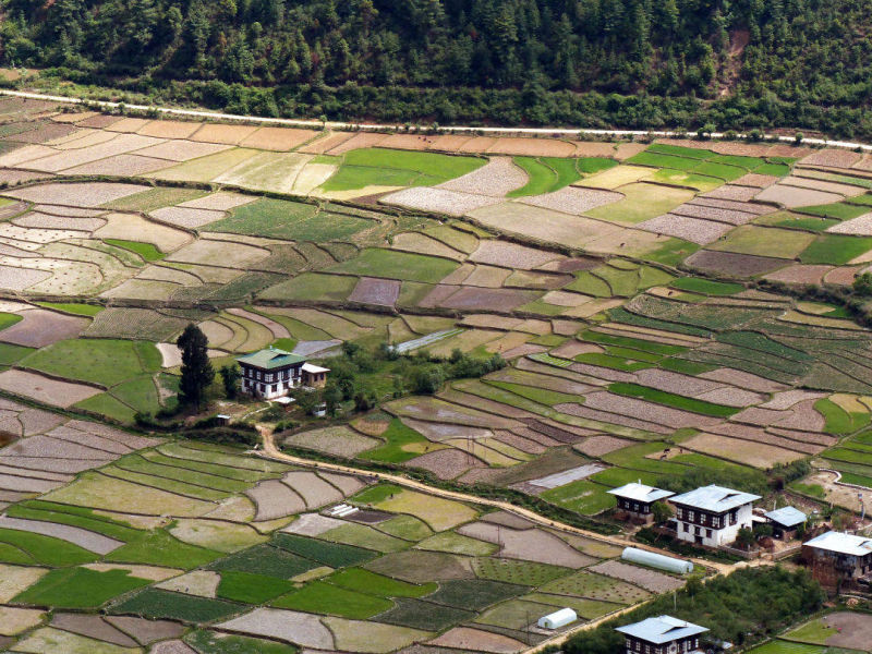 Bhutan | Yvanne Teo