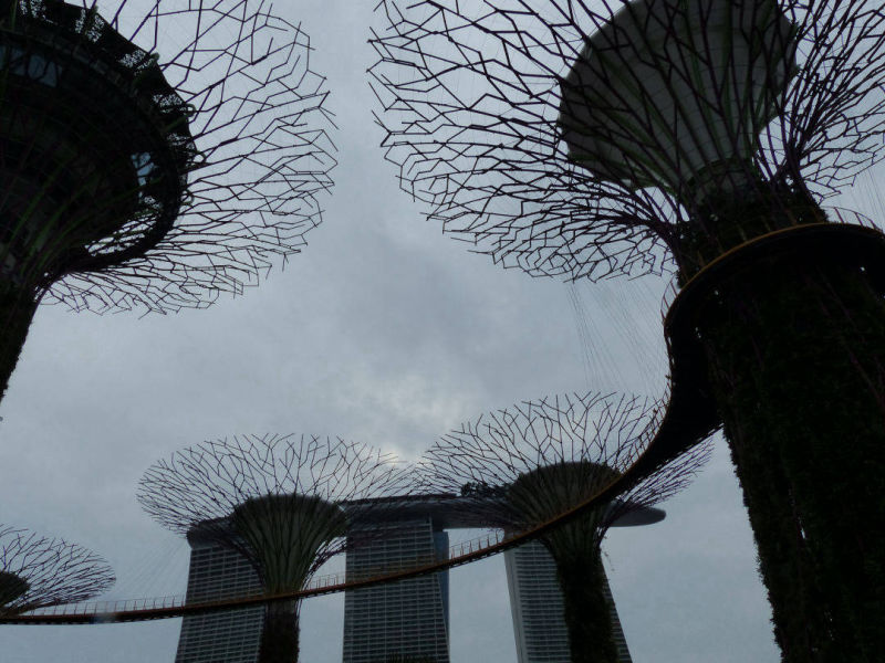 Singapore | Yvanne Teo