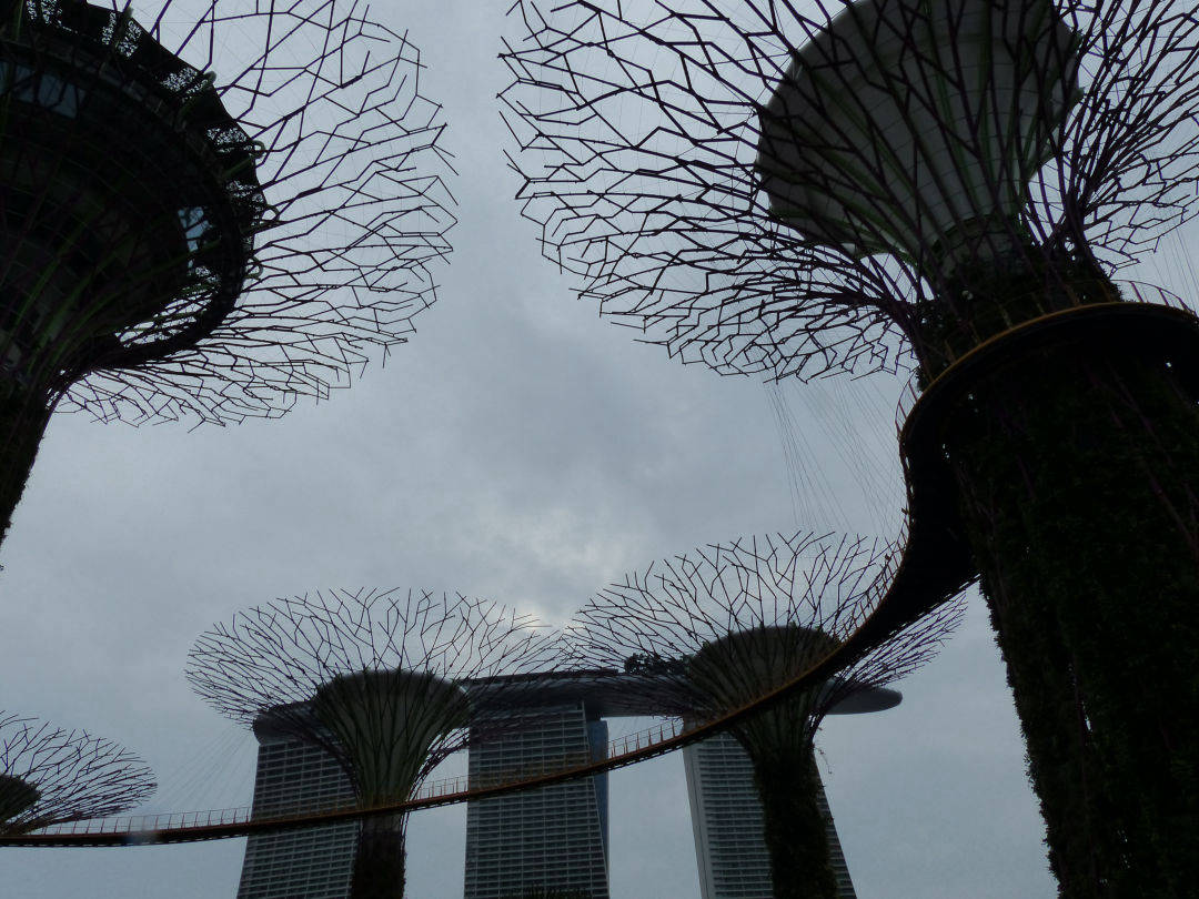 Singapore | Yvanne Teo
