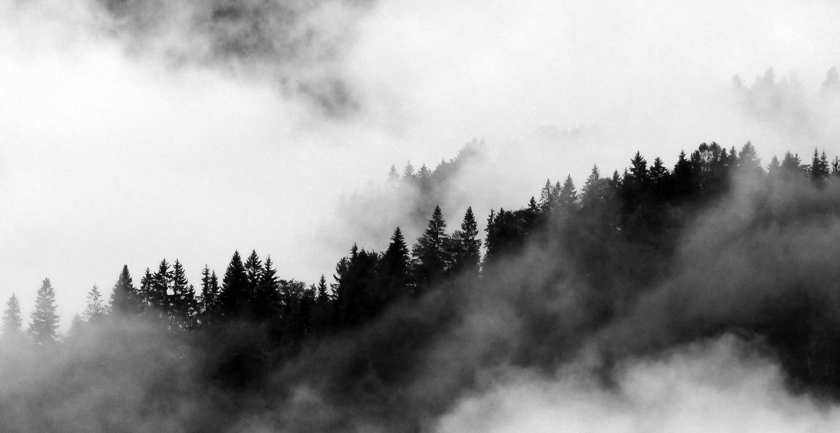 Alpine Photography | YT Photography & Design | Yvanne Teo