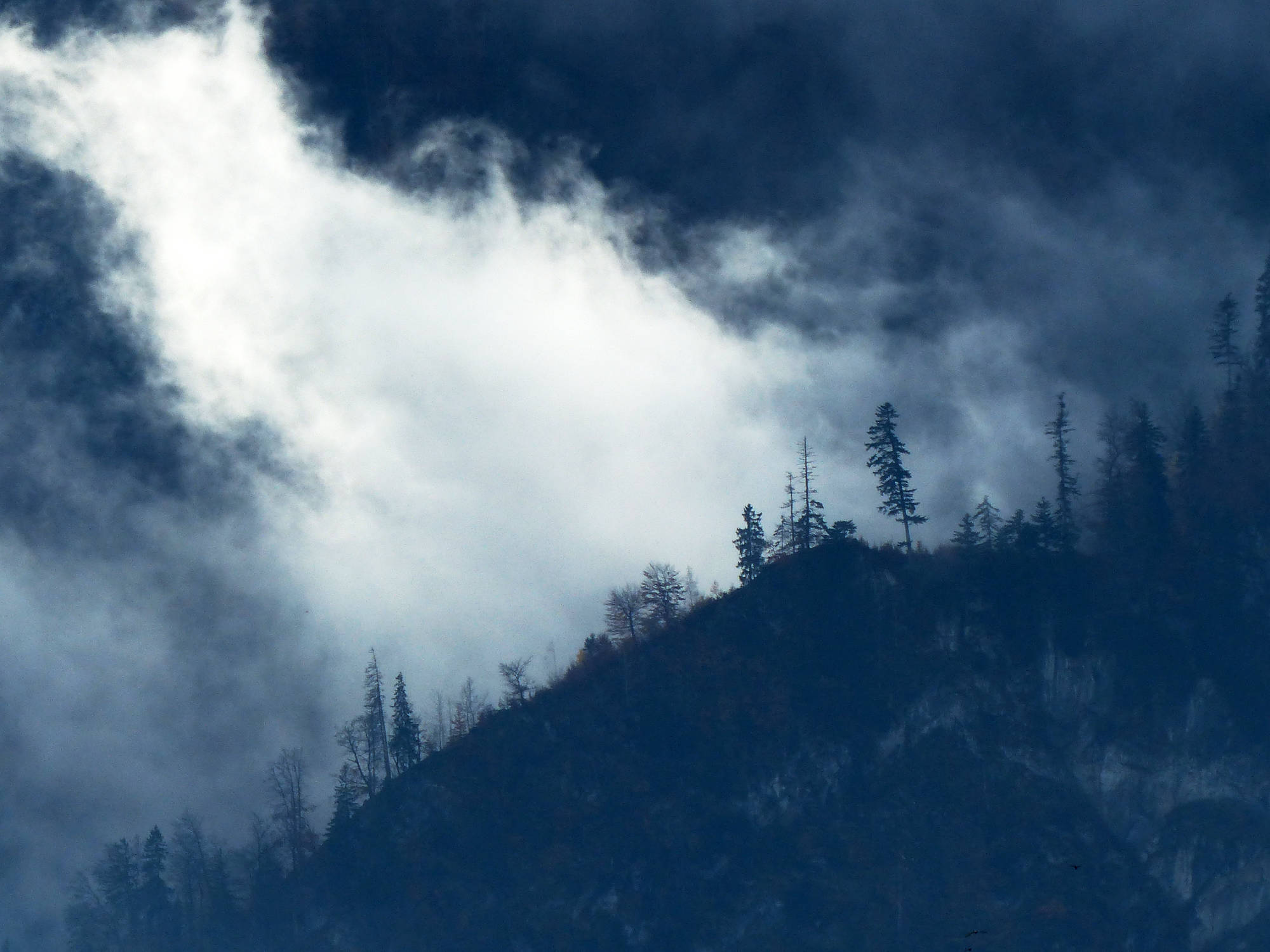 Mountain ridge with trees in the cloud, Austria