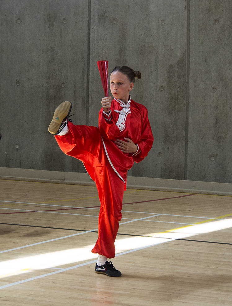 Tai Chi Fan | Yvanne Teo